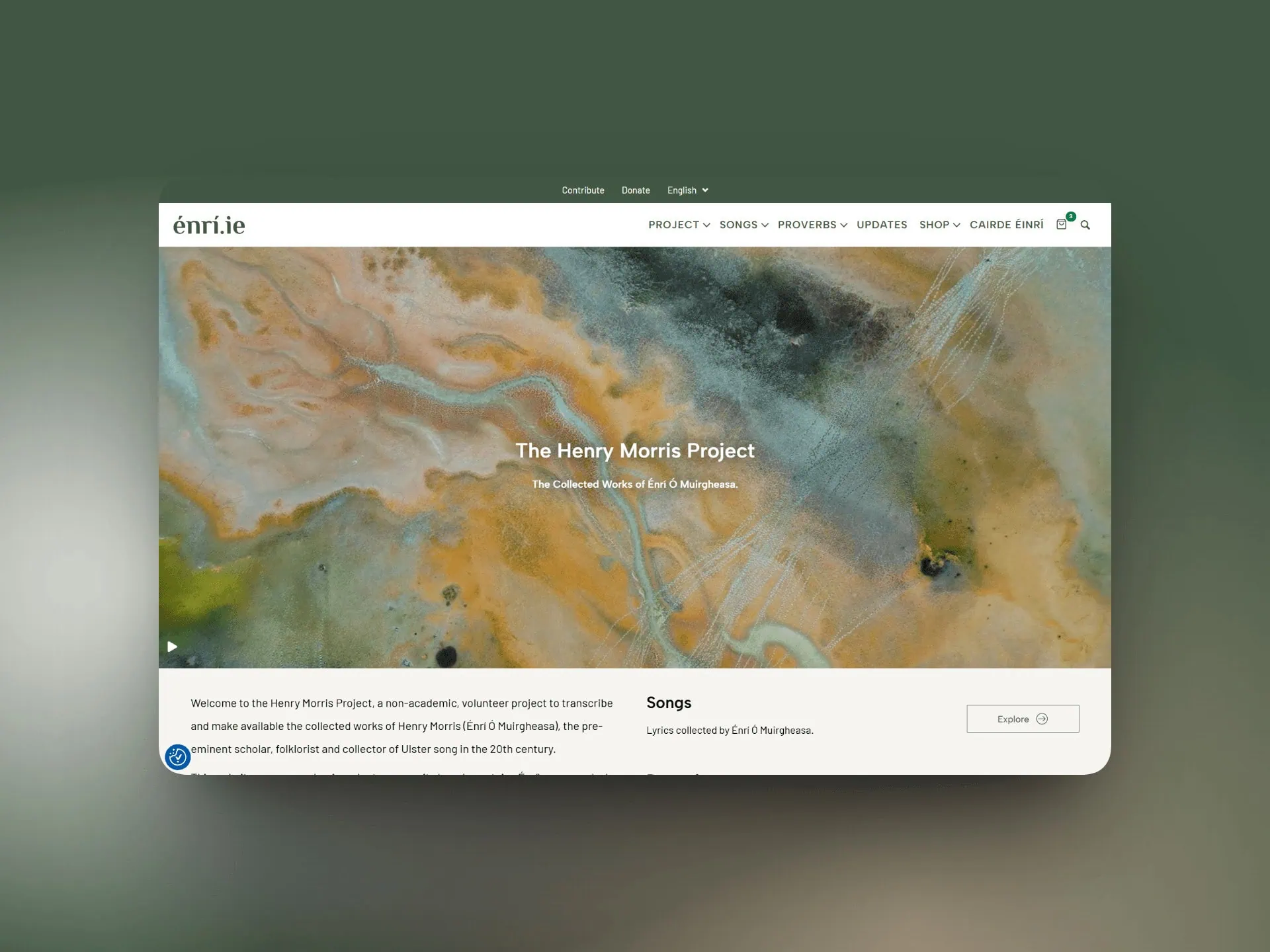 Screenshot of The Henry Morris Project website at enri.ie
